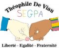 Logo_Theophile_de_Viau